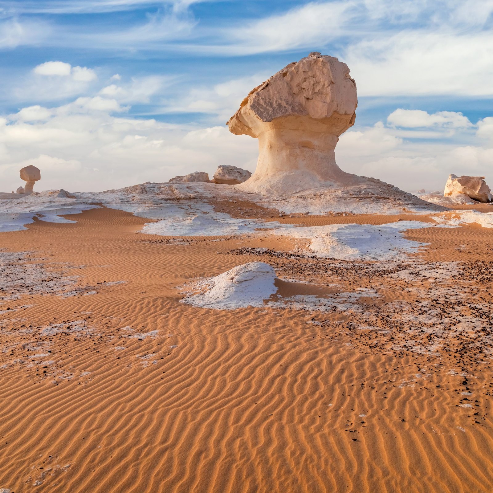 WESTERN DESERT